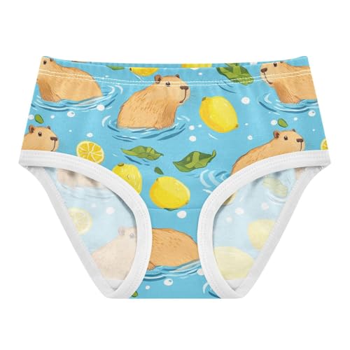 Wusikd Capybaras Swimming Girls' Underwear Cotton Lemon Girls Briefs Soft Toddler Underwear 2T