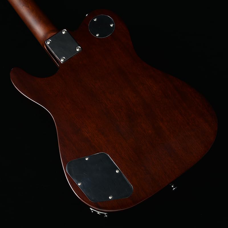 ギター Bacchus BARON-JAZZ / ABB BARON-JAZZ ABB (Bacchus)