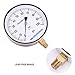 MEASUREMAN 304 Stainless Steel Case,Contractor Pressure Gauge, 0-100Psi, 4-1/2