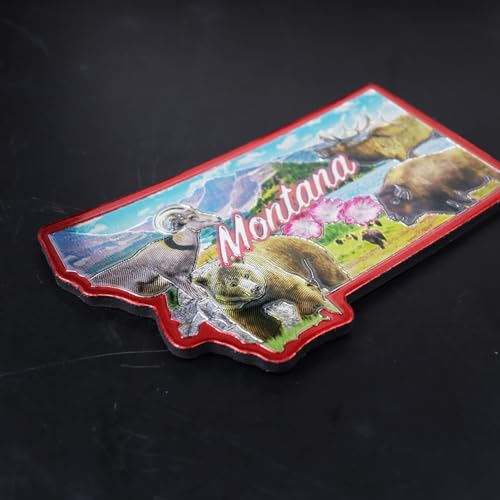 Imán decorativo metálico Montana 2.5 x 1.25 pulgadas miniatura 5