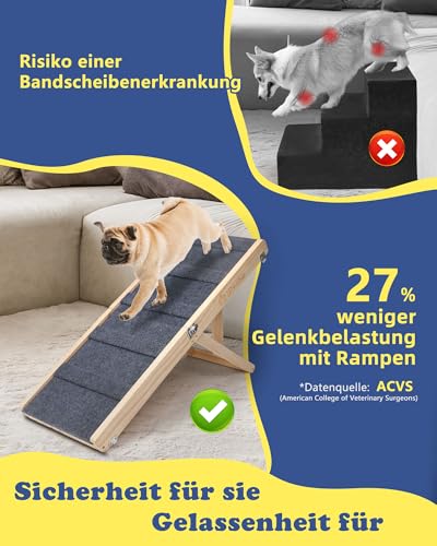 iPetba Hunderampe für Bett & Sofa – Gelenkschonend, Anti-Rutsch, Klappbar, Verstellbar, Tragbar, Für Hunde bis 16 kg
