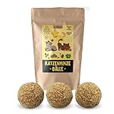 ✅ ENTSPANNUNG: Die regelmäßiges Anwendung von Katzenminze sowie die Verwendung von Katzenspielzeug können Stress-Stimulanzien für Katzen erheblich lindern.