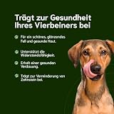 Chōmi Dog Super Sausage Fresh Hundefutter | Nassfutter Für Hunde | Gemüsewurst für Hunde | Adult | Getreide- und konservierungsmittelfrei | Mit Seetang | Barf (400 x 8g, Chicken)