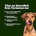 Chōmi Dog Super Sausage Fresh Hundefutter | Nassfutter Für Hunde | Gemüsewurst für Hunde | Adult | Getreide- und konservierungsmittelfrei | Mit Seetang | Barf (400 x 8g, Chicken)