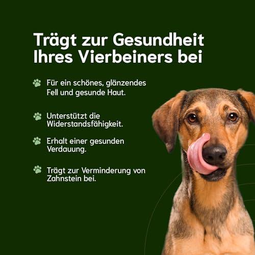 Chōmi Dog Super Sausage Fresh Hundefutter | Nassfutter Für Hunde | Gemüsewurst für Hunde | Adult | Getreide- und konservierungsmittelfrei | Mit Seetang | Barf (400 x 8g, Chicken)