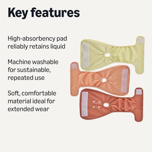 Image of Amazon Basics Reusable Washable Dog Diapers, Highly Absorbent, Female, Small, 3-Pack, for Senior Pets, Incontinence, Fertility Cycles