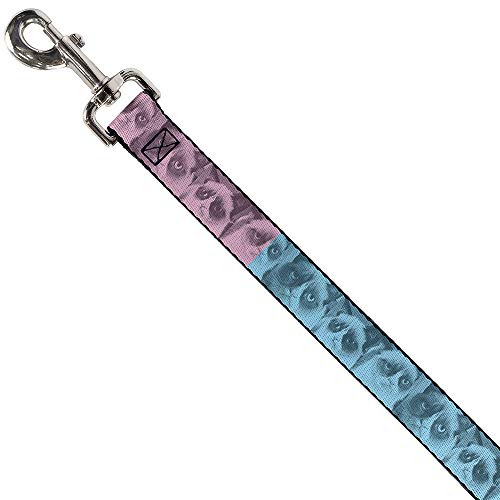 Laisse rétractable alternative Buckle Down Grumpy Cat pour chien actif - 3
