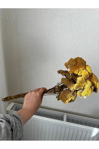 Ramo de Flores Secas Milenrama Amarilla Decoración Hogar miniatura 4