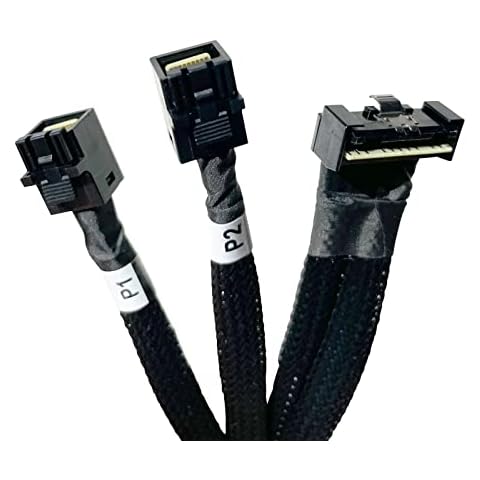 Diliving SlimSAS LP 8X to 2*MiniSAS HD 4X,SFF-8654 LP 74pin to 2*SFF-8643 36pin Cable 80cm(Suitable for DELL Server H750/755) Cover