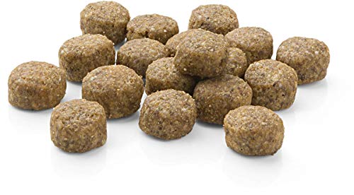 MERA Pure Sensitive Junior Truthahn und Reis Welpenfutter – Trockenfutter für die tägliche Ernährung nahrungssensibler Welpen & Pure Sensitive Adult Truthahn und Reis Hundefutter