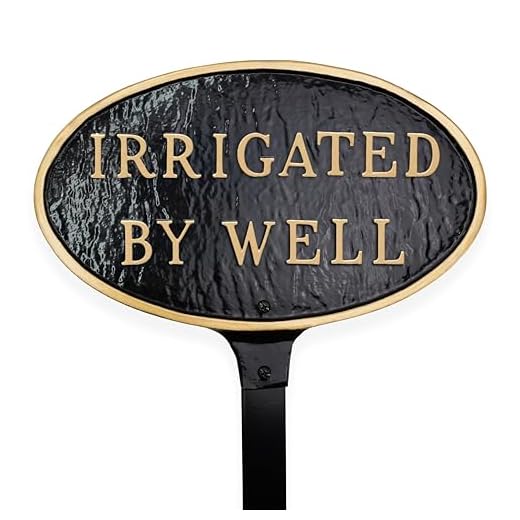 Customizable Oval Statement Plaque