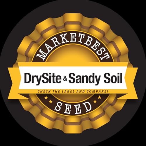 Grass Seed Blends For Sandy Soil And Beach Properties