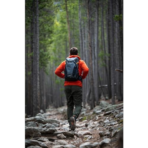 Lowepro PhotoSport BP 15L AW III, Hiking Backpack with Side Access, Removable Camera Insert and Accessory Strap System, Grey, for Mirrorless Camera