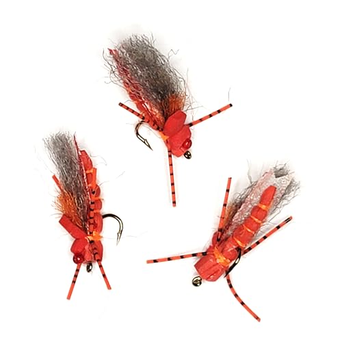 Golden Tippet Project Cicada - Pack of 3 - Terrestrial Dry Fly Attractor - Unsinkable Foam - Dropper Rig - Flyfish for Trout Bass Bluegill Crappie and Other Gamefish (Red/Red, 8)