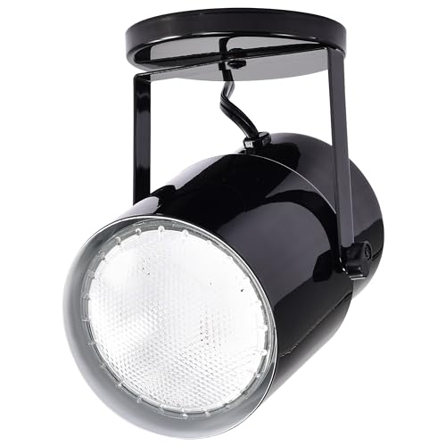 Image of Satco SF77 /394 Incandescent Portable Plant Lamp, 60 Watts, Alloy Steel, Black