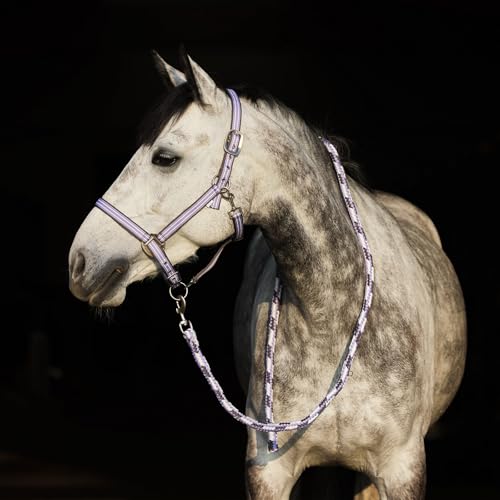 Cabezada de cuadra Adepto morada XF para caballo grande de establo 4
