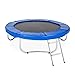 Relaxdays Escalera Cama Elástica para Colgar, Acero, Plateado, 76 x 38 cm