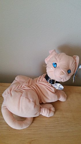 sphynx cat teddy