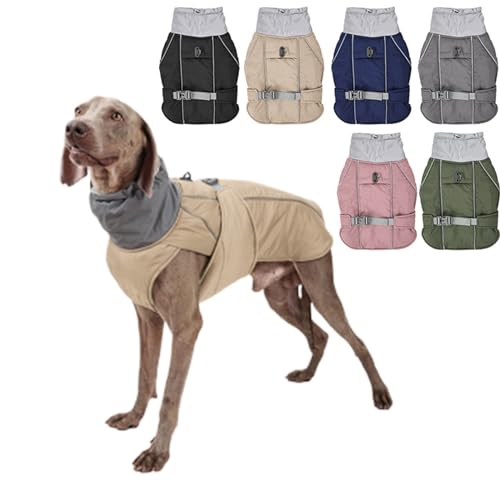   ~ n[lX̌^   g _炩 m H~ ₷ wJ  xXgWPbg IV Uo EFA ybg ˃e[vt ybgWPbg ӂӂ h ۉ h ΍ ȒPE ^