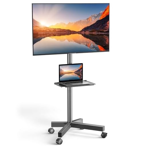 Mobile TV Cart with Wheels for 23-55 Inch LCD LED OLED Flat Curved Screen Outdoor TVs Height Adjustable Shelf Trolley Floor Stand Holds up to 55lbs Movable Monitor Holder with Tray Max VESA 400x400mm