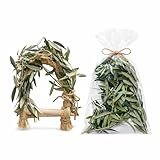 Columpio agapornis Cuerda de sisal Forrada en Olivo Fresco, para Pájaros,Aves Exóticas Entretenimiento y descando Duradero Incluye Ramas de Olivo para forrajeo.Probado con agapornis Reales