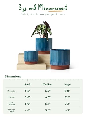 Image of LE TAUCI Ceramic Pots for Plants, 8+6.7+5.5 Inch Plant Pots Indoor, Flower Pot with Drainage Holes, Medium Cylinder Planters for Indoor House Plants, Set of 3, Blue