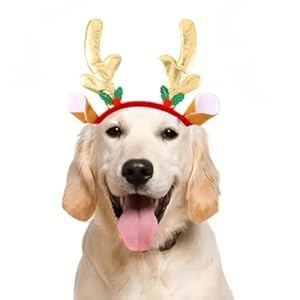Jovono Diadema navideña para Perro con Reno y Alce navideño, Diademas con astas para Perro, Disfraz navideño para Perros y Gatos (Dorado)