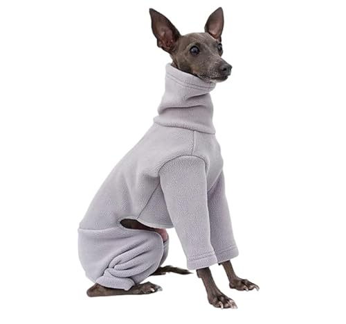 C^O {A t[X p[X Ȃ    ~ hbOEFA H ~ g  ̕ ybgEFA  ɒg h ۉ C^AO[nEh EBybg xhgeA