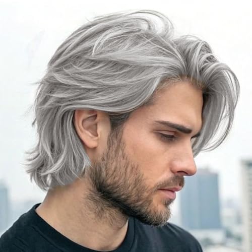 RicHyun Mens Short Gray Wig Synthetic Straight Layered Cosplay Replacement Hair Wig for Male Guy