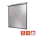 celexon Professional Plus Motor-Leinwand 110" | 200x200 cm 1:1 | elektrische 4K,Full-HD Präsentations-Leinwand für Ihren Heimkinobeamer | zur Decken-/ Wand-Montage | mit Fernbedienung