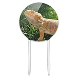 Acrylic Bearded Dragon in Profile Cake Topper Party Decoration for Wedding Anniversary Birthday Graduation