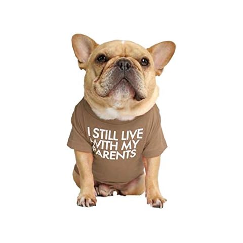 T-Shirt für Hunde mit dem Spruch Cover
