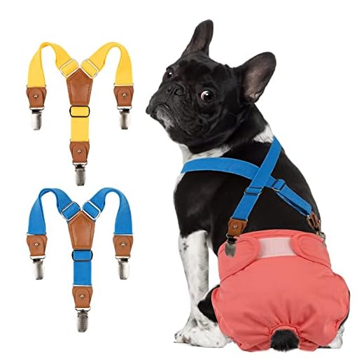 Pet Soft Dog Suspenders 2 Pieces Female Dog Diaper Suspenders for Dogs Diaper Keeper Suspender for Dog Skirt, Dog Dress (Gold & Blue, XS/S)