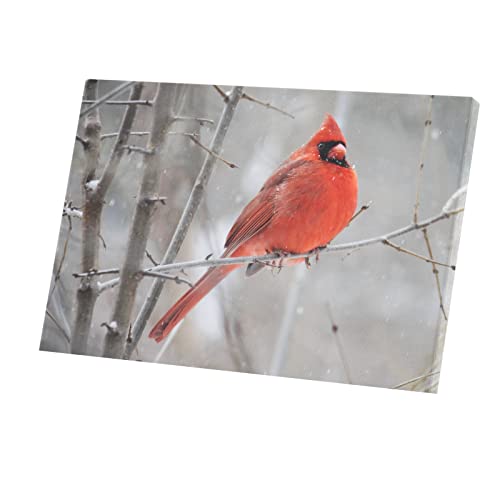 Poster cardinal rouge oiseau de la nature sauvage pour réchauffer l'hiver