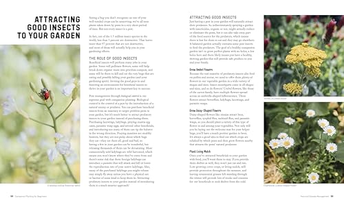 Companion Planting for Beginners: Pair Your Plants for a Bountiful, Chemical-Free Vegetable Garden - Image 4