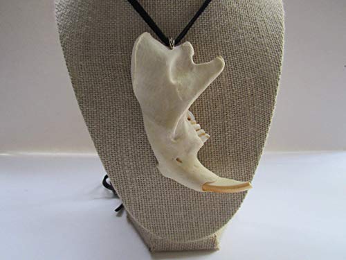 Beaver Jawbone Pendant Buckskin Leather Necklace Animal Bone Jewelry Statement Necklace N375