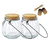 2 Pcs Decorative Glass Jars,Pumpkin Shape Bottles With Cork Stopper and Hanging Rings Wishing Bottle Hydroponic Glass Vases Decor for Home Furnishing Outdoor Party Wedding Centerpiece（Pumpkins）