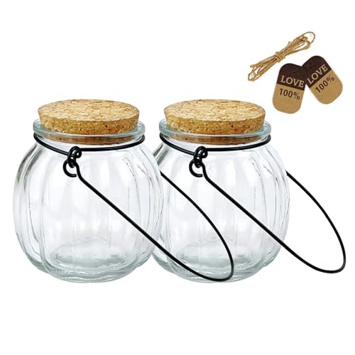 2 Pcs Decorative Glass Jars,Pumpkin Shape Bottles With Cork Stopper and Hanging Rings Wishing Bottle Hydroponic Glass Vases Decor for Home Furnishing Outdoor Party Wedding Centerpiece（Pumpkins）