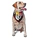 3rd Special Forces Group Triangle Dog Bandana Scarf Accessories for Pet Bibs
