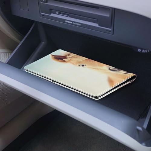 Organizador para Documento de Vehículo Slim miniatura 6