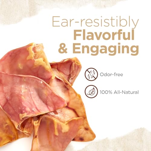 Natural-Farm-Pig-Ears-for-Dogs-8-Pack-One-Ingredient-Natural-Whole-Pigs-Ears-Air-Dried-Long-Lasting-Highly-Digestible-Treats-Great-for-Puppy-and-LargeMedium-Dogs - Cucciolini Doodles   Natural-Farm-Pig-Ears-for-Dogs-8-Pack-One-Ingredient-Natural-Whole-Pigs-Ears-Air-Dried-Long-Lasting-Highly-Digestible-Treats-Great-for-Puppy-and-LargeMedium-Dogs
