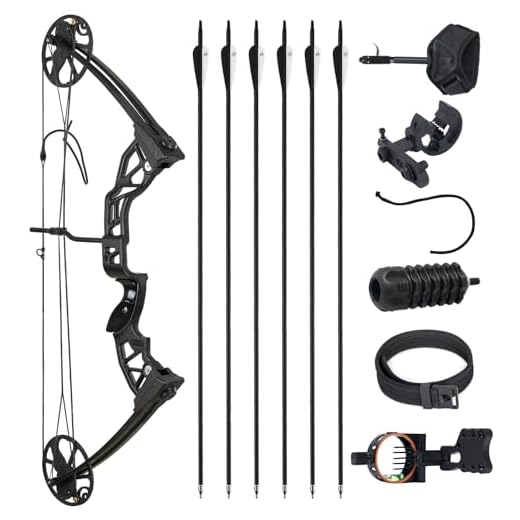 S F Archery Adjustable Compound Bow Package