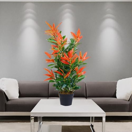 Künstliche Glanzmispel PHOTINIA ca. 80 cm hoch Kunstpflanzen künstliche Pflanzen JWS2641 – Bild 6