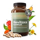 viktilabs