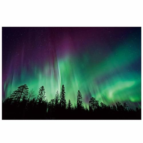 T&H Home Aquarium Décor Backgrounds, Purple Green Northern Lights Aurora Borealis Forest Fish Tank Background Aquarium Sticker Wallpaper Decoration Picture PVC Adhesive Poster 30.4
