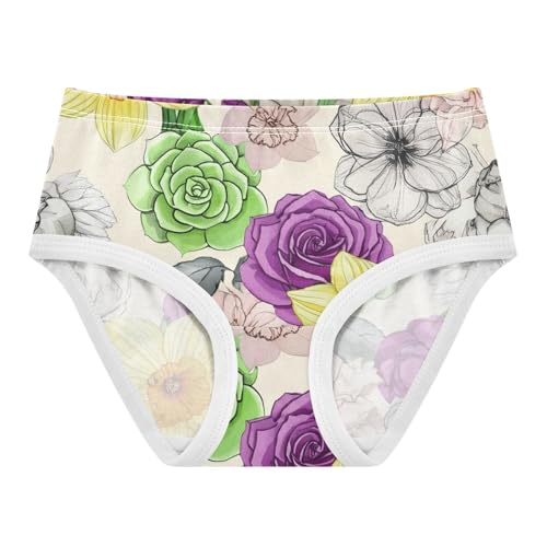 Cotton Girls Underwear Toddlers Vintage Flowers Styles Colors Panties Little Girl Funny Undies Kids Briefs 2t