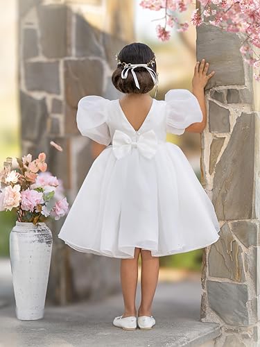 Flower Girl Dress Organza Toddler Dresses Puff Sleeve & Bow Bcak Girls Princess Dress for Wedding Birthday Party3
