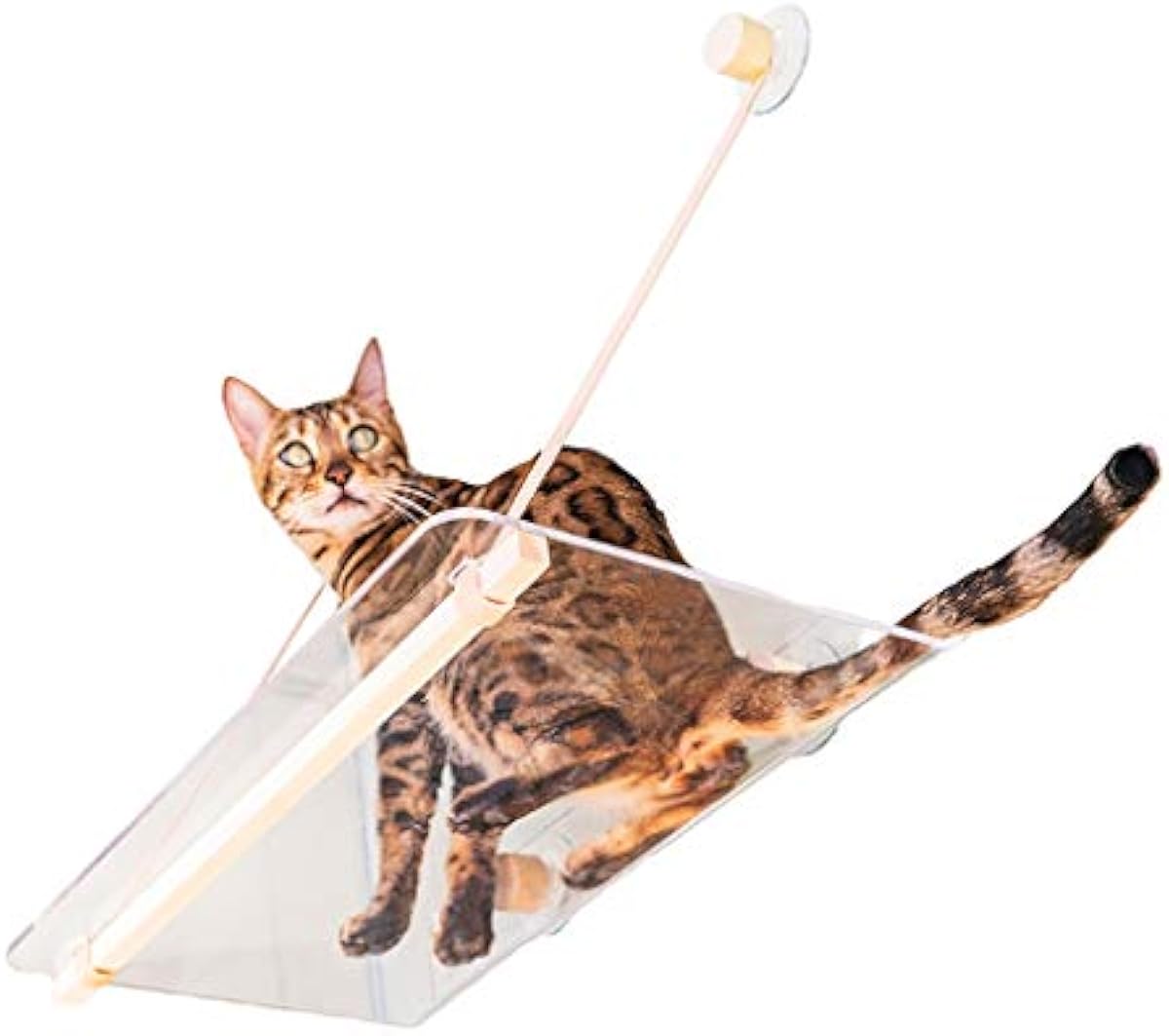 オンライン銀座 ペットベッド 牛革スリング透明猫ジャンププラットフォームサクションカップウォールマウントパンチのない猫クライミングフレームジャンププラットフォームキャットツリーキャットハンモック ハンモック ペット用品 激安工場直販 Www Littleshopp Com