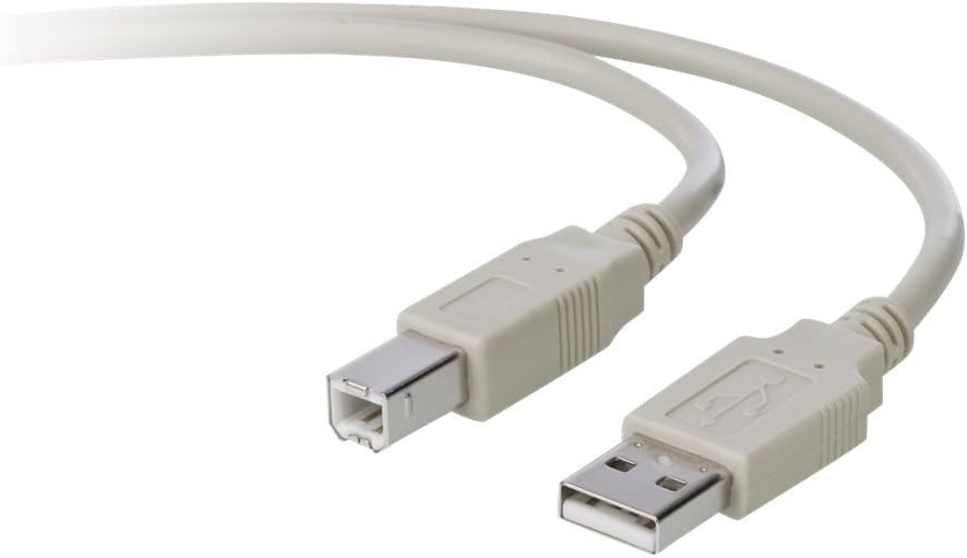 Belkin Pro Series USB Cable - 10 Ft - B2B (F3U133-10-TAA)