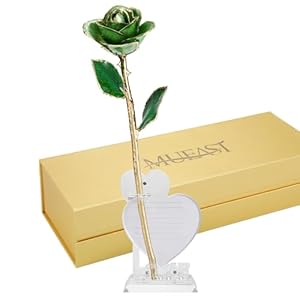 MUEAST Mothers Day Gold Dipped Rose Gifts from Daughter, Real Rose Gifts for Women,Handmade Dipped in 24K Gold Rose a Forever Real Rose Gifts for Mom (Green Rose with Stand) MUEAST Mothers Day Gold Dipped Rose Gifts from Daughter Real Rose Gifts for WomenHandmade Dipped in 24K Gold Rose a Forever Real Rose Gifts for Mom Green Rose with Stand